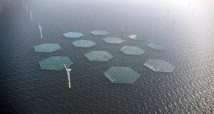 RWE’nin OranjeWind rüzgar çiftliğinde dev yüzer güneş enerjisi projesine start verildi OranjeWind Yüzer Güneş Enerjisi Projesi Türkiye Yenilenebilir Enerji Gelişmeleri Rüzgar ve Güneş Enerjisinin Entegrasyonu