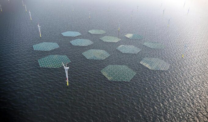 OranjeWind Yüzer Güneş Enerjisi Projesi Türkiye Yenilenebilir Enerji Gelişmeleri Rüzgar ve Güneş Enerjisinin Entegrasyonu OranjeWind Yüzer Güneş Enerjisi Projesi Türkiye Yenilenebilir Enerji Gelişmeleri Rüzgar ve Güneş Enerjisinin Entegrasyonu