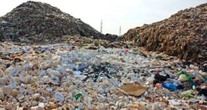 Yerel seçimlerde atık yönetimi Atık yönetiminde belediyelerin rolü ÇEVKO Vakfı ve misyonu