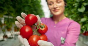 Konya Tuzlukçu Jeotermal Sera Yediyol Holding Tarım İnovasyonu Sürdürülebilir Tarım Yatırımları