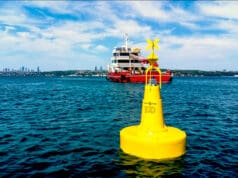 İstanbul Boğazı deniz çayırları koruma Marmara Denizi şamandıralama çalışması İş Bankası TÜDAV sürdürülebilirlik projesi