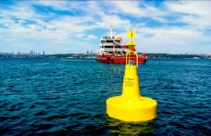 İstanbul Boğazı deniz çayırları koruma Marmara Denizi şamandıralama çalışması İş Bankası TÜDAV sürdürülebilirlik projesi