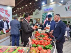 Growtech Antalya tarım fuarı 2024 sürdürülebilir tarım inovasyon ödülleri Türkiye Rusya seracılık iş birliği