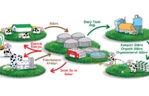 sütaş çiftlikten sofralara sürdürülebilirlik modeli sıfır atık sütaş 2023 AB yeşil mutabakat uyum süt ve süt ürünleri biyogaz enerji üretimi