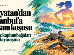 Akyatan’da 21 yıl: 283 bin yeşil deniz kaplumbağası denize ulaştı Akyatan’daki yeşil deniz kaplumbağası yavrularını ve WWF-Türkiye’nin İstanbul Maratonu kampanyasındaki koşucu figürünü birleştiren editoryal görsel.