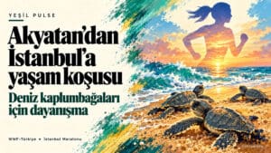 Akyatan’daki yeşil deniz kaplumbağası yavrularını ve WWF-Türkiye’nin İstanbul Maratonu kampanyasındaki koşucu figürünü birleştiren editoryal görsel.