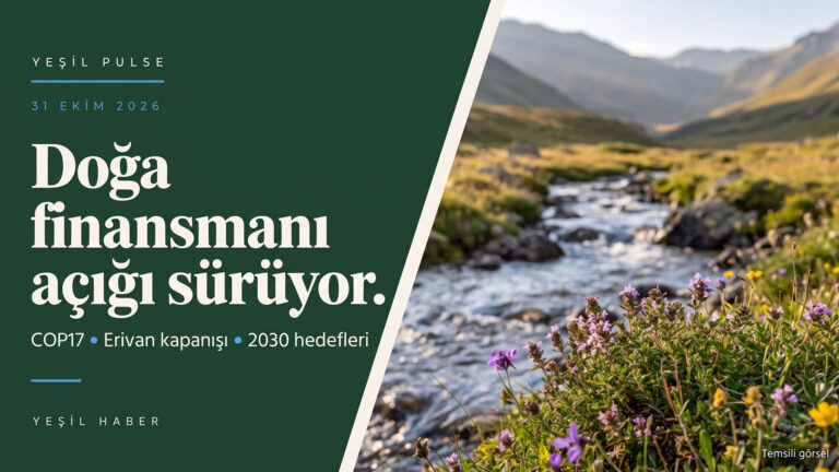 COP17 Erivan’da kapandı: Kararlar kabul edildi, doğa finansmanı açığı sürüyor Yeşil Pulse görseli: “Doğa finansmanı açığı sürüyor” başlığı ve Kafkas dağ çayırında akan bir dere