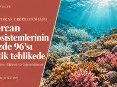 IUCN: Mercan ekosistemlerinin yüzde 96’sı kritik tehlikede IUCN’nin mercan ekosistemlerinin yüzde 96’sını kritik tehlikede sınıflandırmasını anlatan, renkli ve ağarmış mercanların bulunduğu Yeşil Pulse görseli.