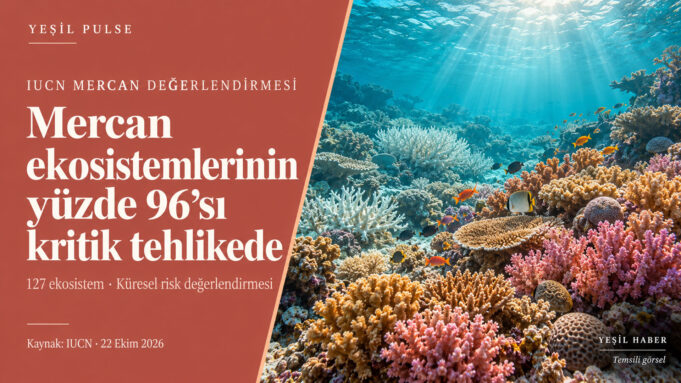 IUCN’nin mercan ekosistemlerinin yüzde 96’sını kritik tehlikede sınıflandırmasını anlatan, renkli ve ağarmış mercanların bulunduğu Yeşil Pulse görseli. IUCN’nin mercan ekosistemlerinin yüzde 96’sını kritik tehlikede sınıflandırmasını anlatan, renkli ve ağarmış mercanların bulunduğu Yeşil Pulse görseli.