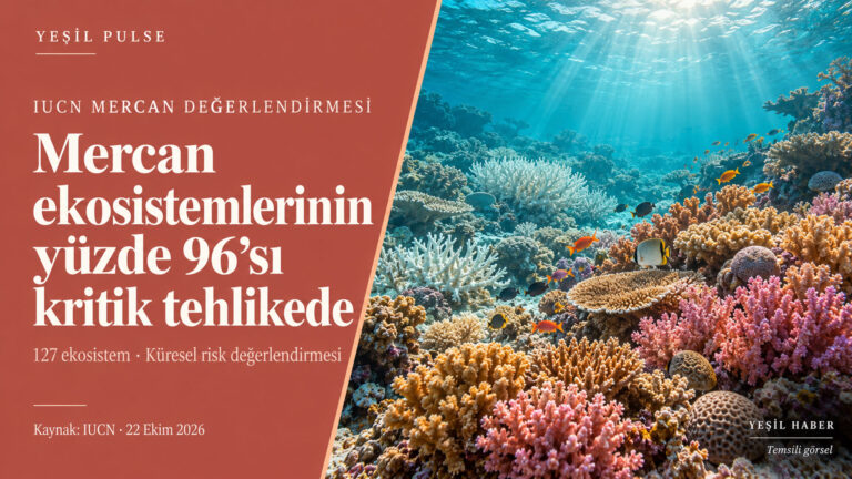 IUCN’nin mercan ekosistemlerinin yüzde 96’sını kritik tehlikede sınıflandırmasını anlatan, renkli ve ağarmış mercanların bulunduğu Yeşil Pulse görseli.