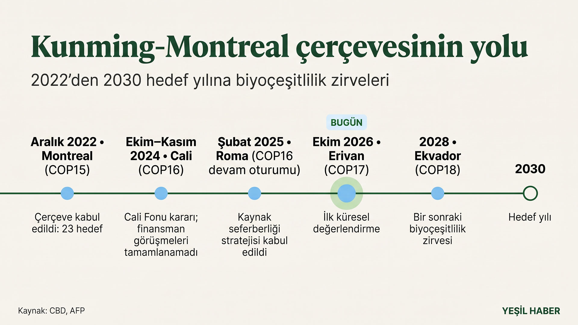 Zaman çizelgesi: Montreal 2022'den Cali, Roma ve Erivan'a, oradan Ekvador 2028 ve 2030 hedef yılına uzanan biyoçeşitlilik zirveleri