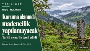 Ordu Musakırık mezarlığının koruma alanındaki madencilik yasağını anlatan, temsili mezarlık görselli Yeşil Hap kapağı.