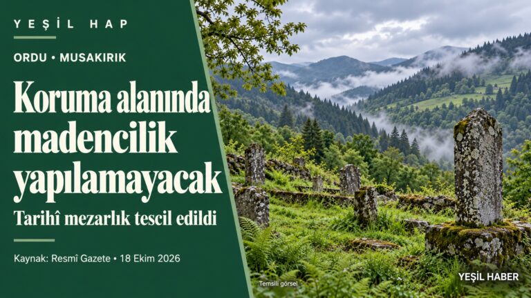 Ordu Musakırık mezarlığının koruma alanındaki madencilik yasağını anlatan, temsili mezarlık görselli Yeşil Hap kapağı.