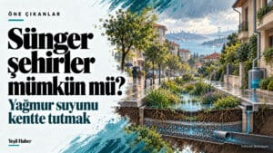 Sünger şehirler başlığı yanında yağmur bahçesi, çatı suyu deposu ve yeraltı drenajını gösteren İstanbul temalı illüstrasyon.