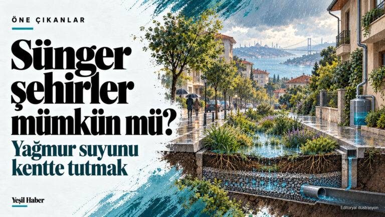 Sünger şehirler: Kentler yağmur suyunu nasıl tutabilir? Sünger şehirler başlığı yanında yağmur bahçesi, çatı suyu deposu ve yeraltı drenajını gösteren İstanbul temalı illüstrasyon.